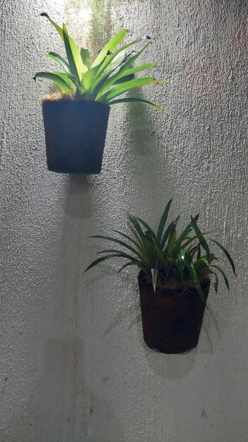 פאראטי Pousada Vila Mar מראה חיצוני תמונה